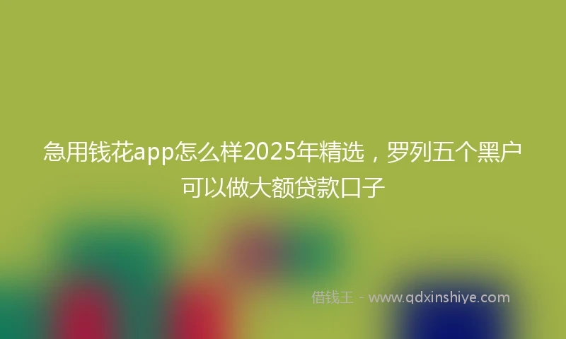 急用钱花app怎么样2025年精选，罗列五个黑户可以做大额贷款口子