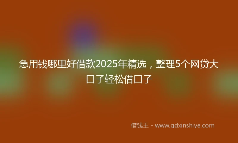 急用钱哪里好借款2025年精选，整理5个网贷大口子轻松借口子