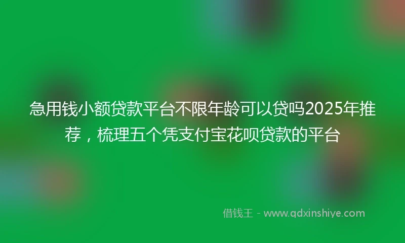 急用钱小额贷款平台不限年龄可以贷吗2025年推荐，梳理五个凭支付宝花呗贷款的平台