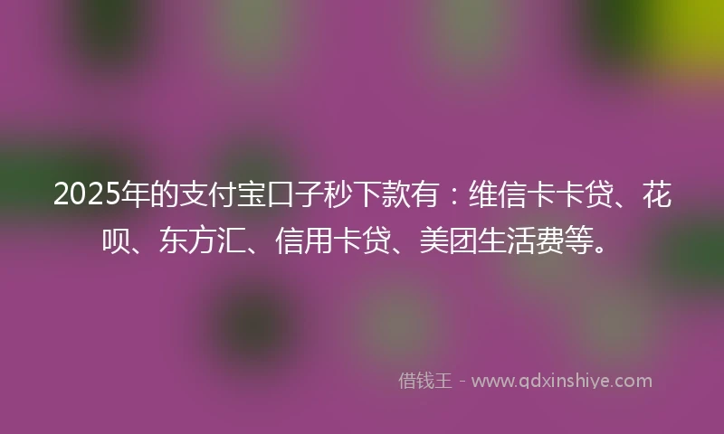 2025年的支付宝口子秒下款有：维信卡卡贷、花呗、东方汇、信用卡贷、美团生活费等。