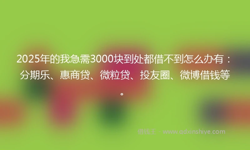2025年的我急需3000块到处都借不到怎么办有：分期乐、惠商贷、微粒贷、投友圈、微博借钱等。