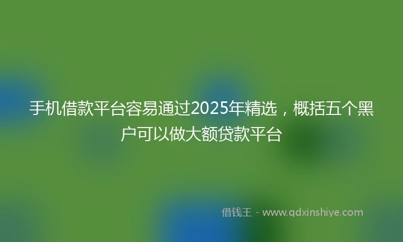 手机借款平台容易通过2025年精选，概括五个黑户可以做大额贷款平台