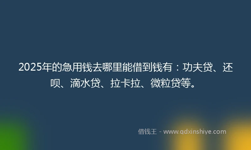 2025年的急用钱去哪里能借到钱有：功夫贷、还呗、滴水贷、拉卡拉、微粒贷等。