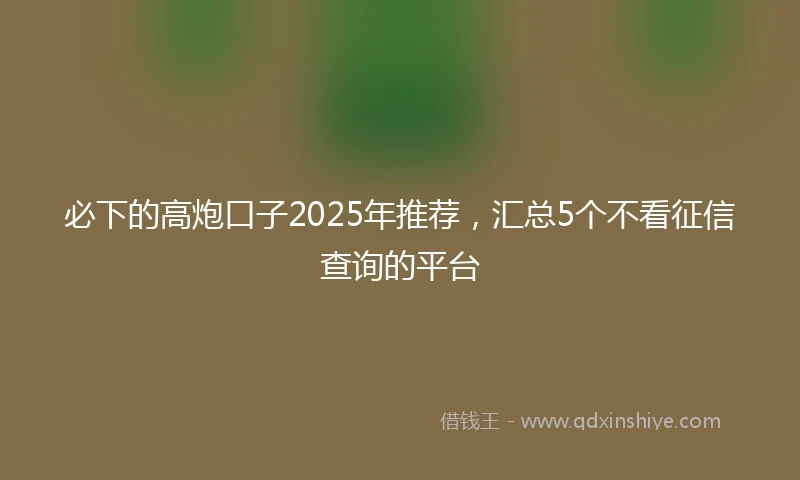 必下的高炮口子2025年推荐，汇总5个不看征信查询的平台