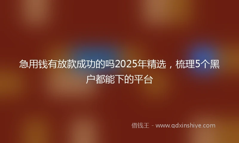 急用钱有放款成功的吗2025年精选，梳理5个黑户都能下的平台