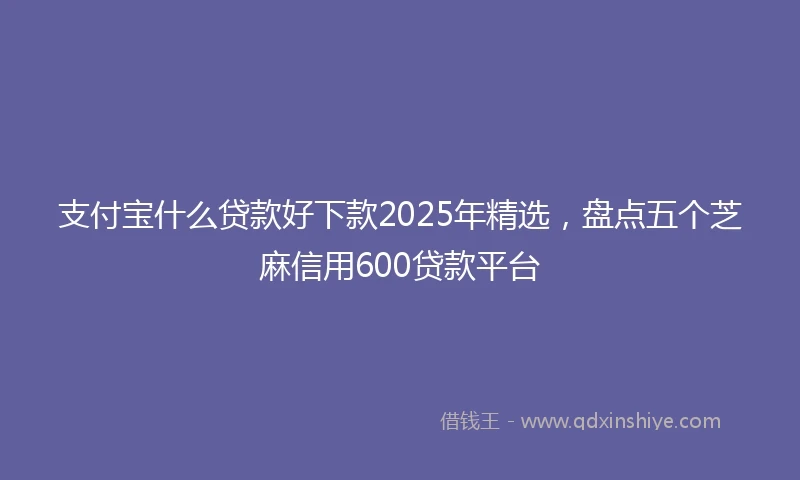 支付宝什么贷款好下款2025年精选，盘点五个芝麻信用600贷款平台