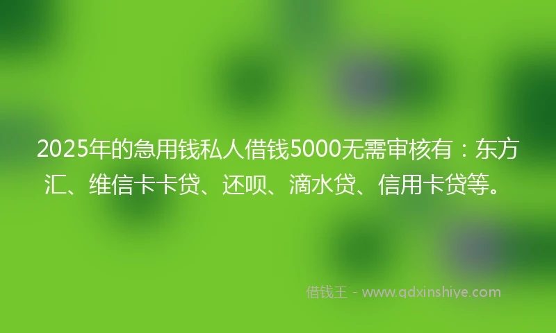 2025年的急用钱私人借钱5000无需审核有：东方汇、维信卡卡贷、还呗、滴水贷、信用卡贷等。