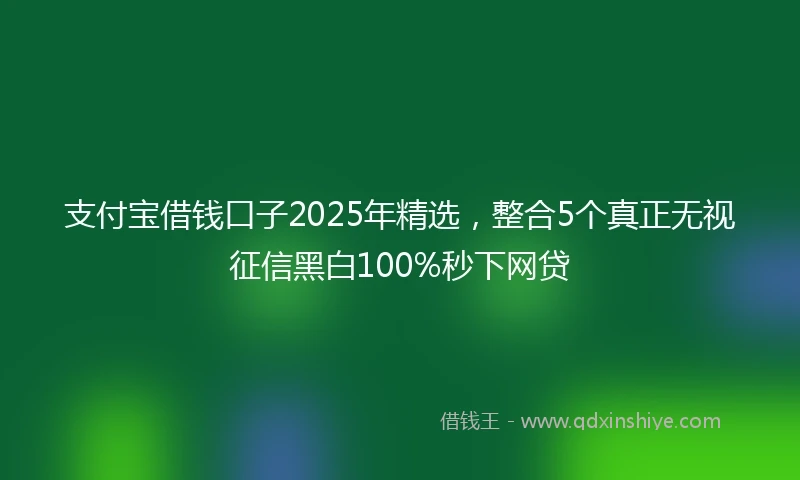 支付宝借钱口子2025年精选，整合5个真正无视征信黑白100%秒下网贷