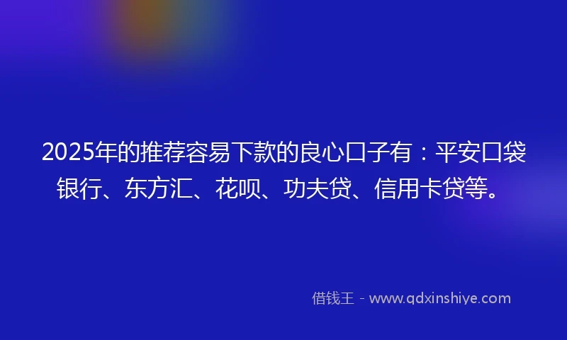2025年的推荐容易下款的良心口子有：平安口袋银行、东方汇、花呗、功夫贷、信用卡贷等。