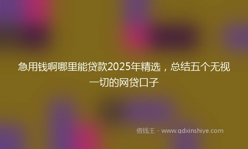 急用钱啊哪里能贷款2025年精选，总结五个无视一切的网贷口子