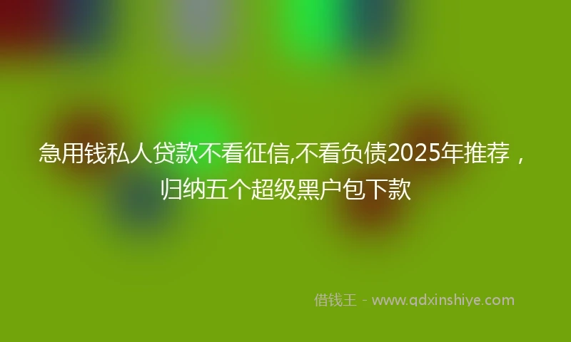 急用钱私人贷款不看征信,不看负债2025年推荐,归纳五个超级黑户包下款