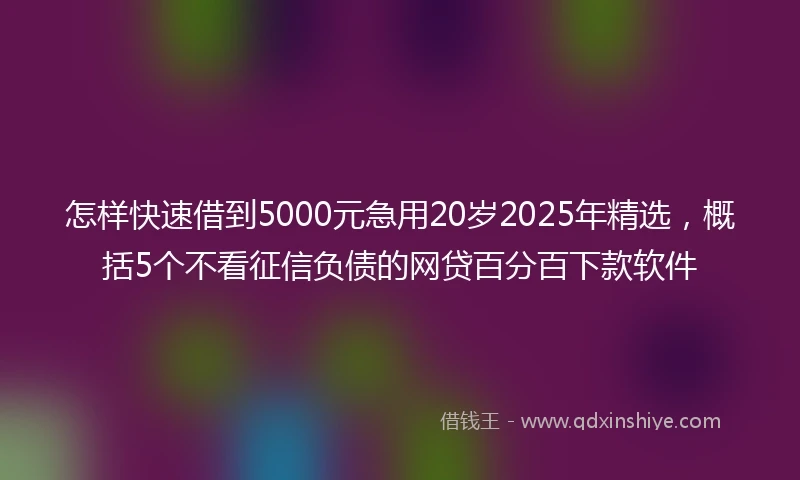 怎样快速借到5000元急用20岁2025年精选，概括5个不看征信负债的网贷百分百下款软件