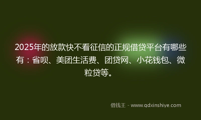 2025年的放款快不看征信的正规借贷平台有哪些有：省呗、美团生活费、团贷网、小花钱包、微粒贷等。