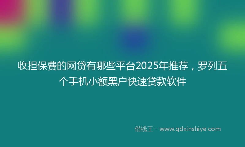 收担保费的网贷有哪些平台2025年推荐,罗列五个手机小额黑户快速贷款软件