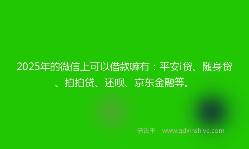 2025年的微信上可以借款嘛有：平安i贷、随身贷、拍拍贷、还呗、京东金融等。