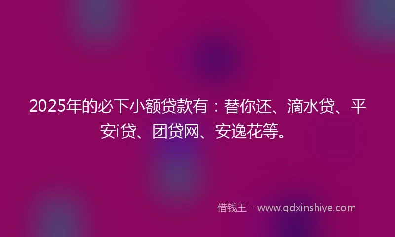 2025年的必下小额贷款有:替你还、滴水贷、平安i贷、团贷网、安逸花等。