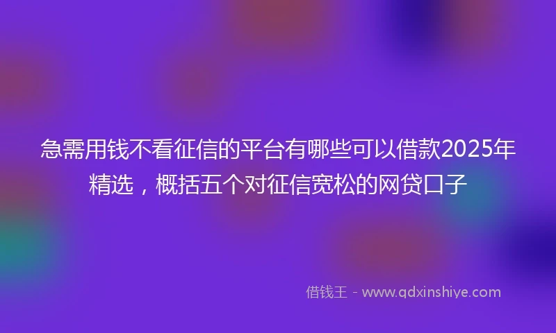 急需用钱不看征信的平台有哪些可以借款2025年精选，概括五个对征信宽松的网贷口子