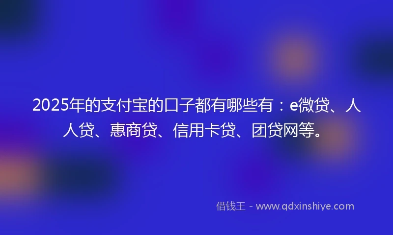 2025年的支付宝的口子都有哪些有：e微贷、人人贷、惠商贷、信用卡贷、团贷网等。