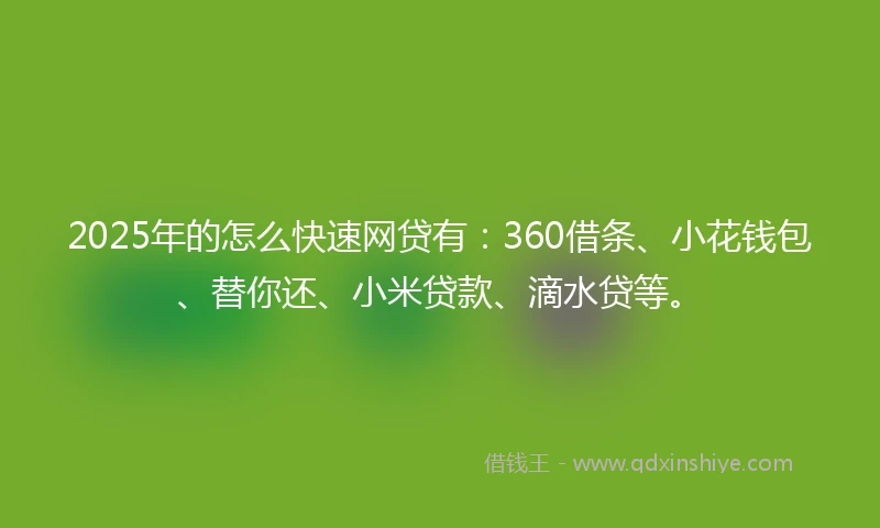 2025年的怎么快速网贷有：360借条、小花钱包、替你还、小米贷款、滴水贷等。
