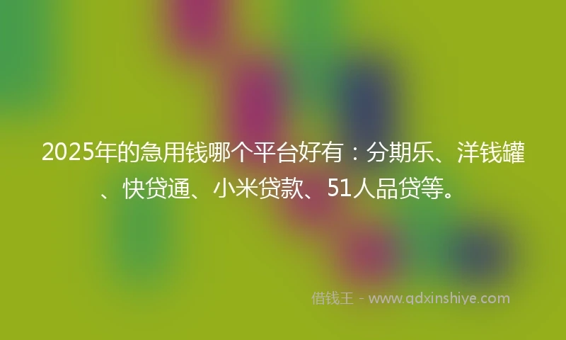 2025年的急用钱哪个平台好有：分期乐、洋钱罐、快贷通、小米贷款、51人品贷等。