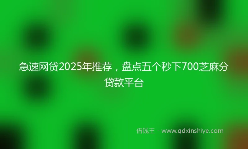 急速网贷2025年推荐，盘点五个秒下700芝麻分贷款平台