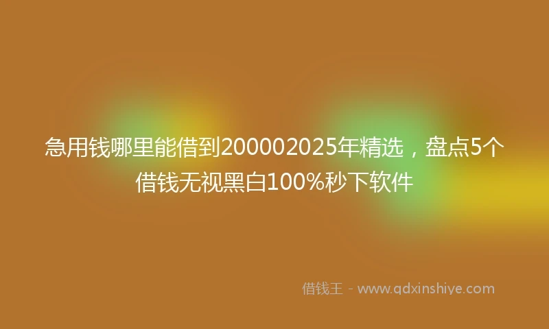 急用钱哪里能借到200002025年精选，盘点5个借钱无视黑白100%秒下软件