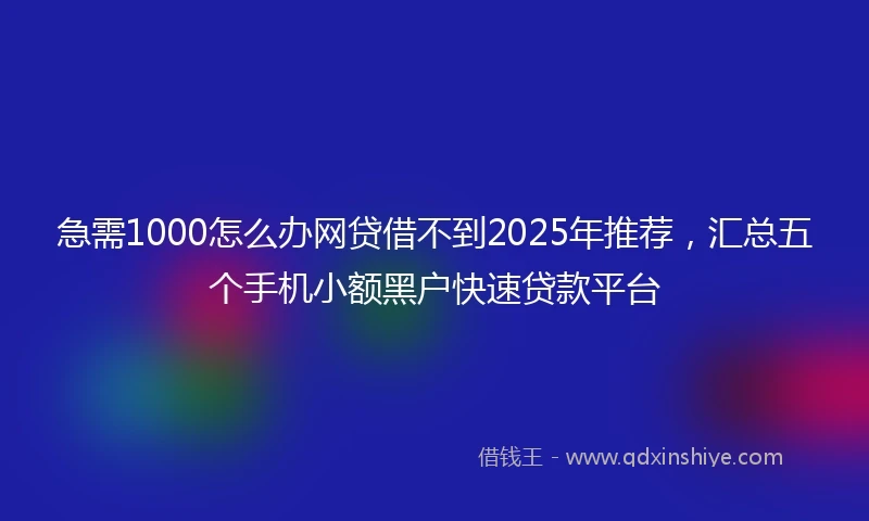 急需1000怎么办网贷借不到2025年推荐,汇总五个手机小额黑户快速贷款平台
