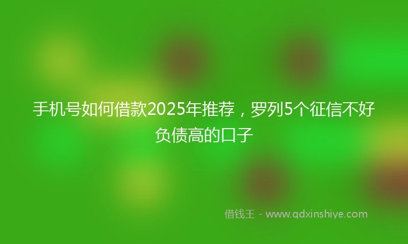 手机号如何借款2025年推荐，罗列5个征信不好负债高的口子