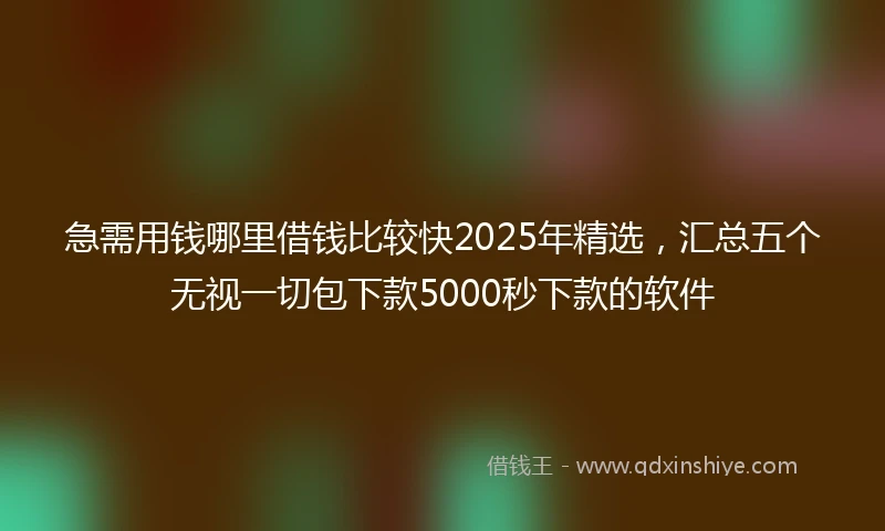 急需用钱哪里借钱比较快2025年精选，汇总五个无视一切包下款5000秒下款的软件