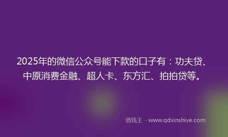 2025年的微信公众号能下款的口子有：功夫贷、中原消费金融、超人卡、东方汇、拍拍贷等。