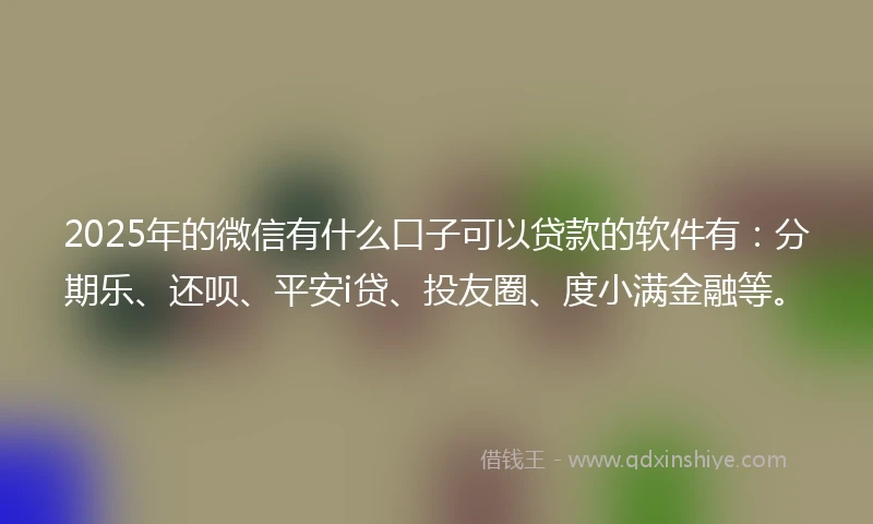 2025年的微信有什么口子可以贷款的软件有：分期乐、还呗、平安i贷、投友圈、度小满金融等。