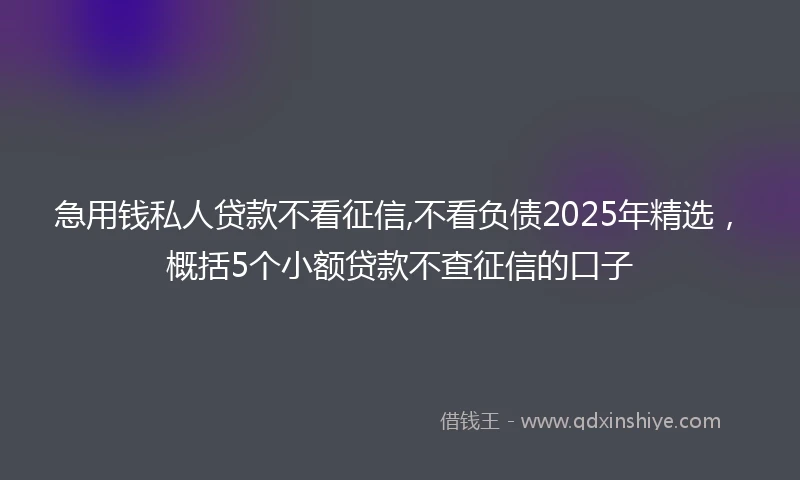 急用钱私人贷款不看征信,不看负债2025年精选，概括5个小额贷款不查征信的口子