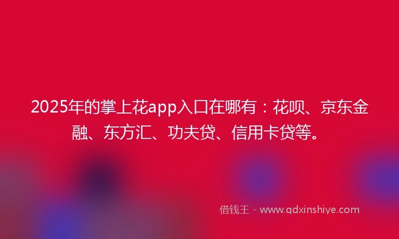 2025年的掌上花app入口在哪有:花呗、京东金融、东方汇、功夫贷、信用卡贷等。