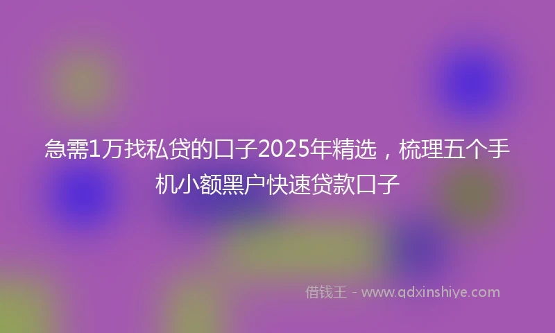 急需1万找私贷的口子2025年精选，梳理五个手机小额黑户快速贷款口子