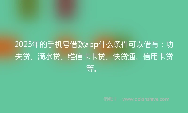 2025年的手机号借款app什么条件可以借有：功夫贷、滴水贷、维信卡卡贷、快贷通、信用卡贷等。