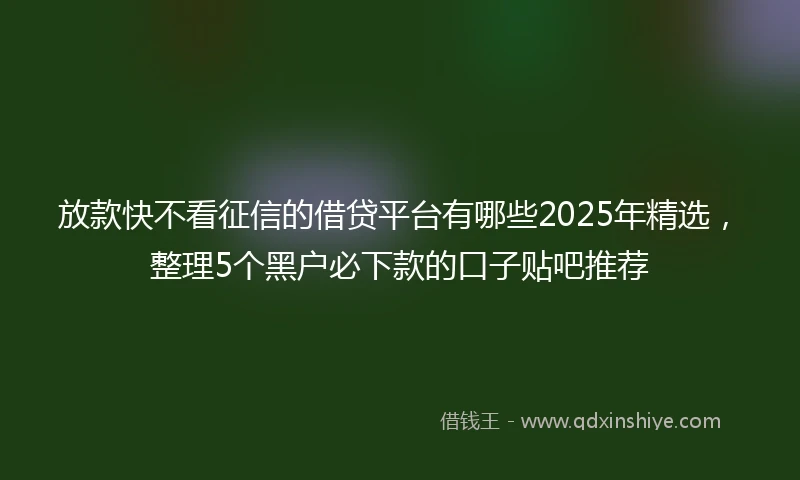 放款快不看征信的借贷平台有哪些2025年精选，整理5个黑户必下款的口子贴吧推荐