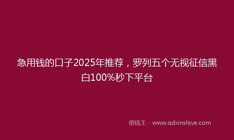 急用钱的口子2025年推荐，罗列五个无视征信黑白100%秒下平台