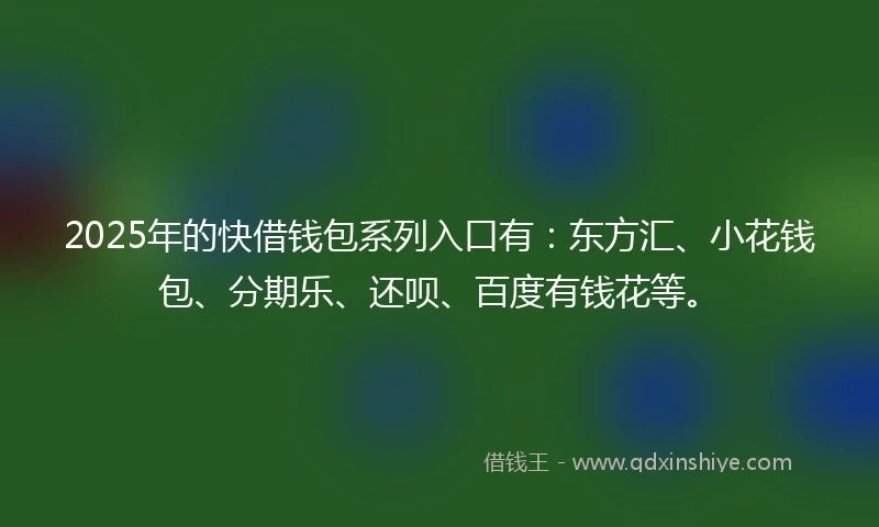 2025年的快借钱包系列入口有：东方汇、小花钱包、分期乐、还呗、百度有钱花等。