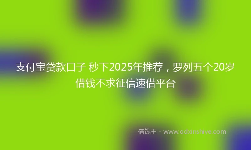 支付宝贷款口子 秒下2025年推荐，罗列五个20岁借钱不求征信速借平台