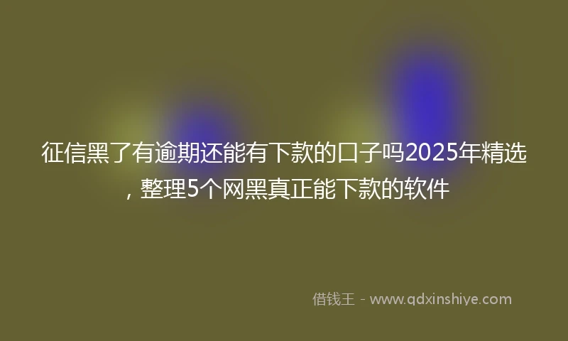 征信黑了有逾期还能有下款的口子吗2025年精选，整理5个网黑真正能下款的软件