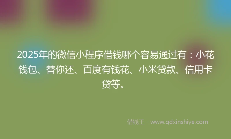 2025年的微信小程序借钱哪个容易通过有：小花钱包、替你还、百度有钱花、小米贷款、信用卡贷等。