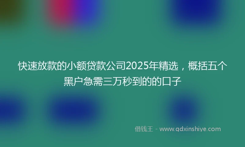 快速放款的小额贷款公司2025年精选，概括五个黑户急需三万秒到的的口子