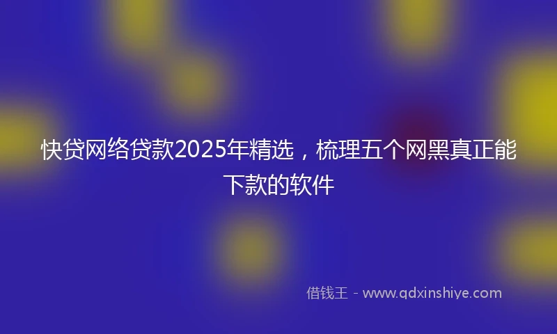 快贷网络贷款2025年精选，梳理五个网黑真正能下款的软件