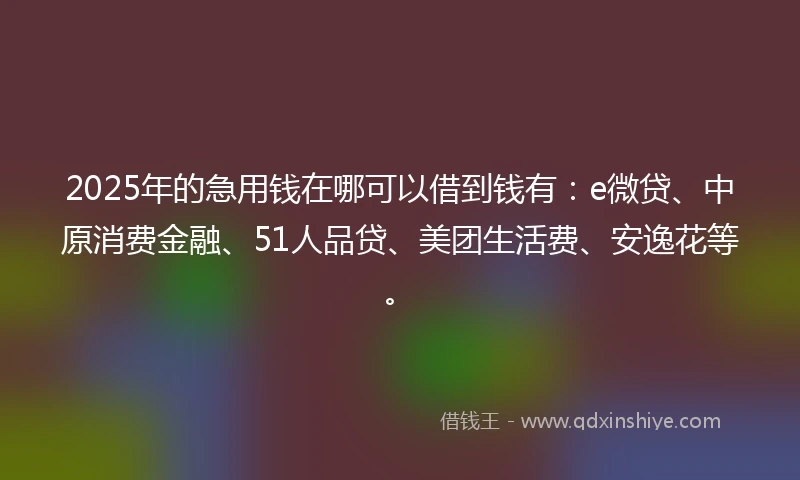 2025年的急用钱在哪可以借到钱有：e微贷、中原消费金融、51人品贷、美团生活费、安逸花等。