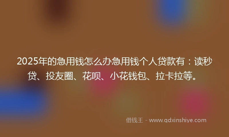 2025年的急用钱怎么办急用钱个人贷款有：读秒贷、投友圈、花呗、小花钱包、拉卡拉等。
