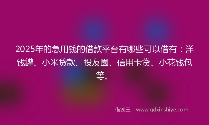 2025年的急用钱的借款平台有哪些可以借有：洋钱罐、小米贷款、投友圈、信用卡贷、小花钱包等。