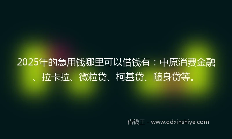 2025年的急用钱哪里可以借钱有：中原消费金融、拉卡拉、微粒贷、柯基贷、随身贷等。