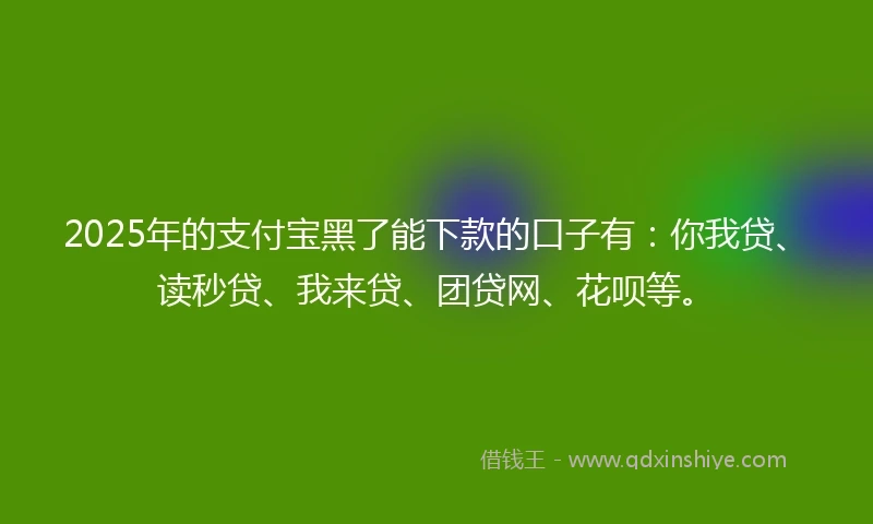 2025年的支付宝黑了能下款的口子有：你我贷、读秒贷、我来贷、团贷网、花呗等。