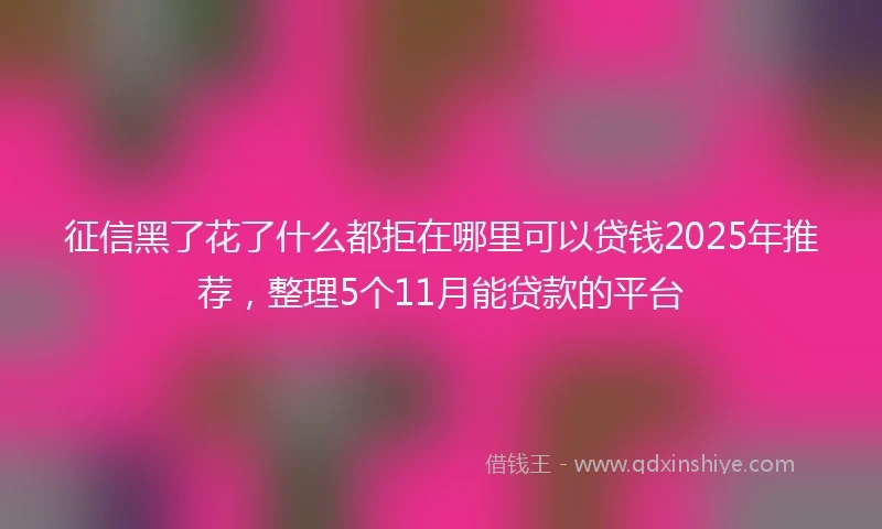 征信黑了花了什么都拒在哪里可以贷钱2025年推荐，整理5个11月能贷款的平台