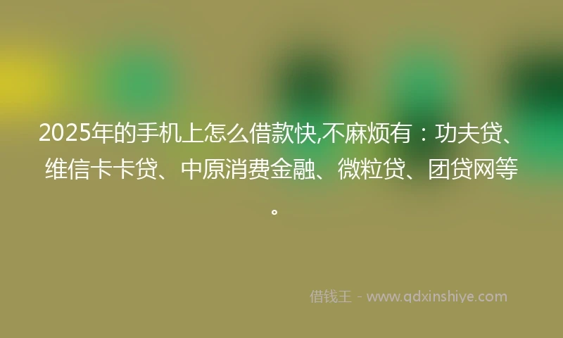 2025年的手机上怎么借款快,不麻烦有：功夫贷、维信卡卡贷、中原消费金融、微粒贷、团贷网等。